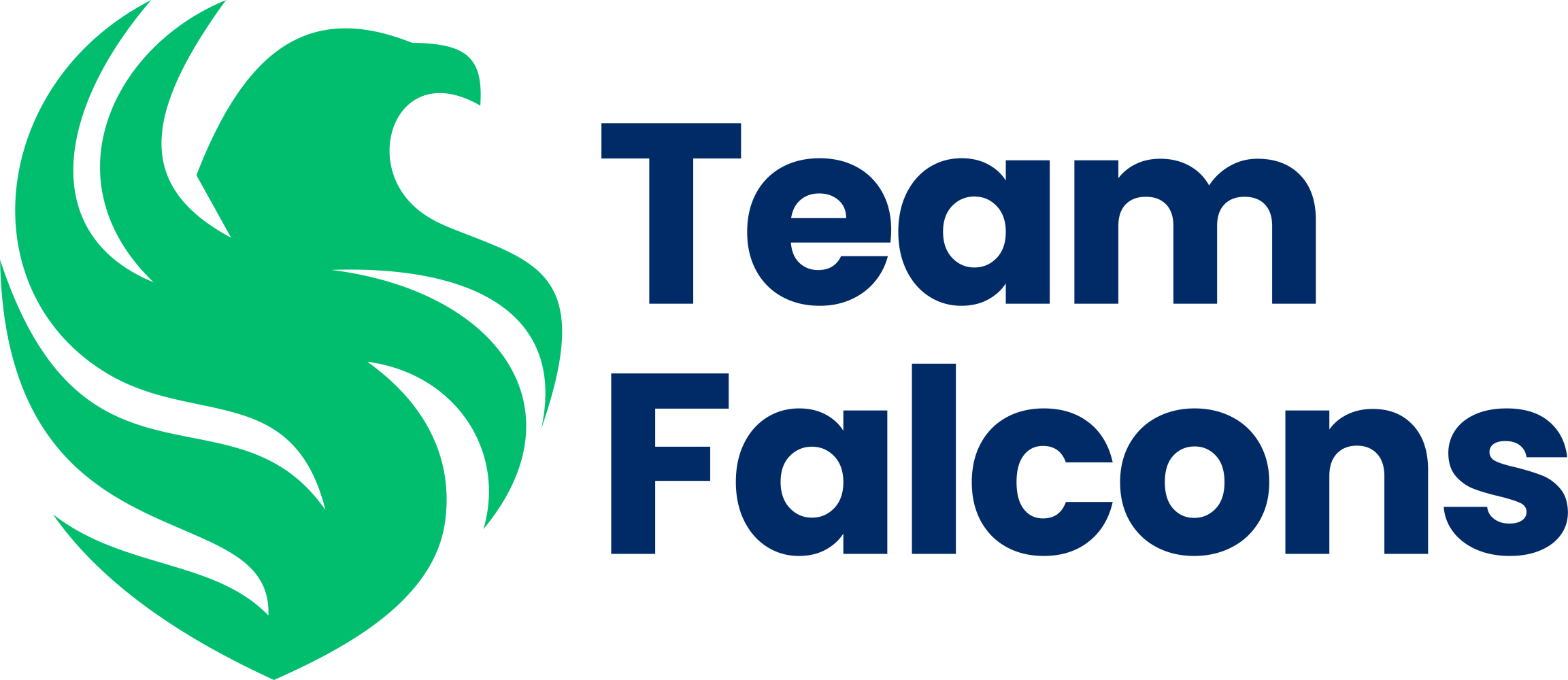 Team Falcons