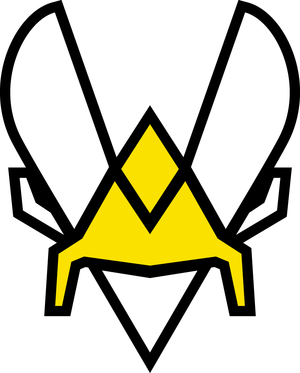 Team Vitality